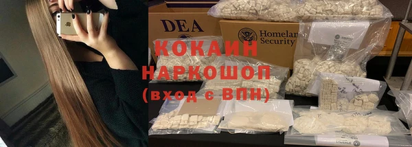 шишки Рославль
