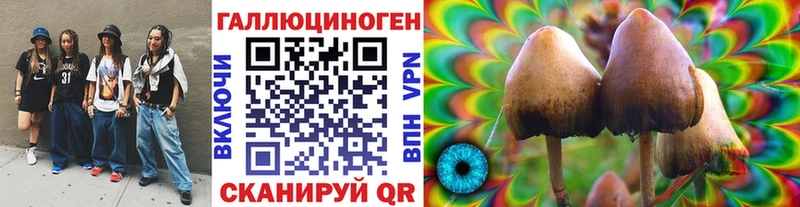Галлюциногенные грибы мухоморы  Ефремов 